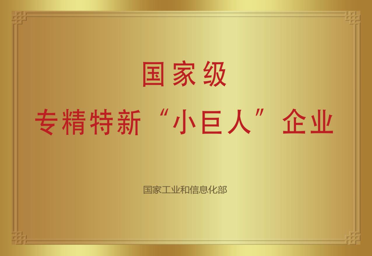 國家級(jí)專精特新“小巨人”企業(yè)